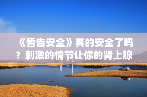 《暂告安全》真的安全了吗？刺激的情节让你的肾上腺素狂飙！(电影名《暂告安全》)