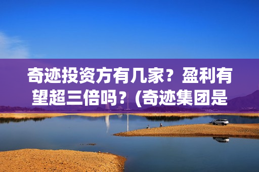 奇迹投资方有几家？盈利有望超三倍吗？(奇迹集团是做什么的)