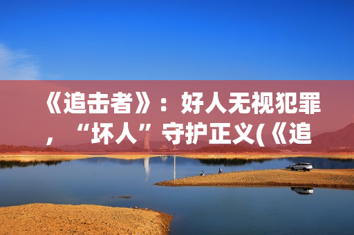 《追击者》：好人无视犯罪，“坏人”守护正义(《追击者》解析)