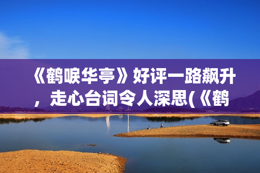 《鹤唳华亭》好评一路飙升，走心台词令人深思(《鹤唳华亭》好看吗)