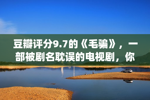 豆瓣评分9.7的《毛骗》，一部被剧名耽误的电视剧，你看过没？(豆瓣评分9.5)