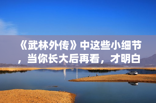 《武林外传》中这些小细节，当你长大后再看，才明白社会的险恶！(武林外传中白展堂的绝招是)
