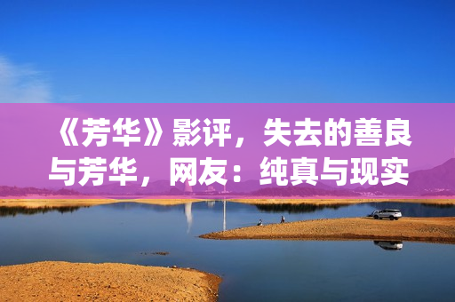 《芳华》影评，失去的善良与芳华，网友：纯真与现实(《芳华》影评)
