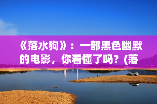 《落水狗》：一部黑色幽默的电影，你看懂了吗？(落水狗终极解读)