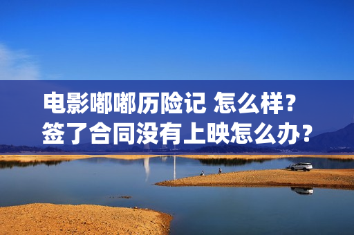 电影嘟嘟历险记 怎么样？ 签了合同没有上映怎么办？(嘟嘟生活历险记)