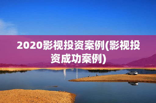 2020影视投资案例(影视投资成功案例)