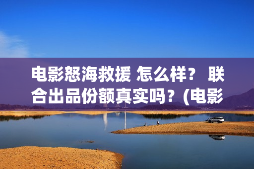电影怒海救援 怎么样？ 联合出品份额真实吗？(电影怒海救援免费观看国语)