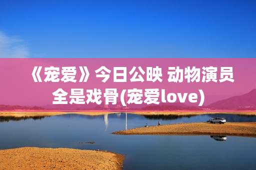 《宠爱》今日公映 动物演员全是戏骨(宠爱love)