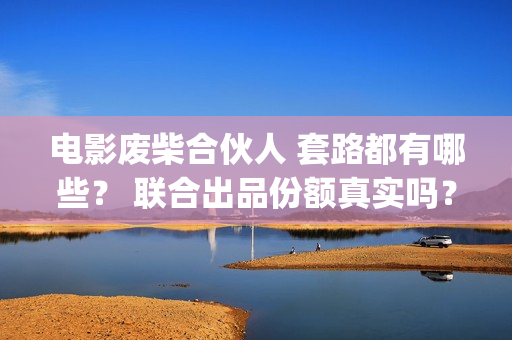 电影废柴合伙人 套路都有哪些？ 联合出品份额真实吗？(废柴兄弟众筹吃火锅是哪一集)