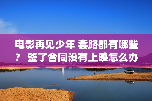 电影再见少年 套路都有哪些？ 签了合同没有上映怎么办？(电影再见少年剧情介绍)