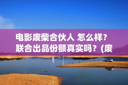 电影废柴合伙人 怎么样？ 联合出品份额真实吗？(废柴兄弟 百度百科)