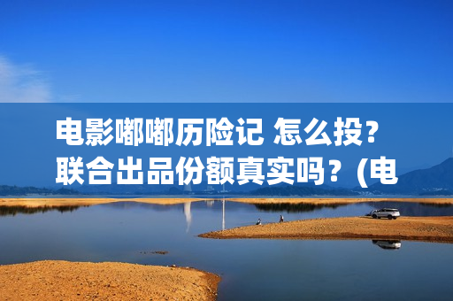 电影嘟嘟历险记 怎么投？ 联合出品份额真实吗？(电影嘟嘟历险记在线观看)