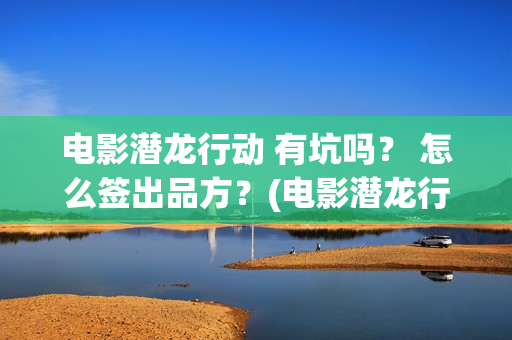 电影潜龙行动 有坑吗？ 怎么签出品方？(电影潜龙行动)