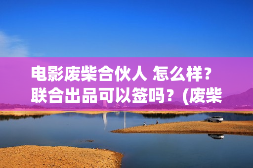 电影废柴合伙人 怎么样？ 联合出品可以签吗？(废柴组合)