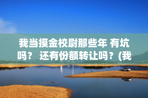 我当摸金校尉那些年 有坑吗？ 还有份额转让吗？(我当摸金校尉结局知乎)