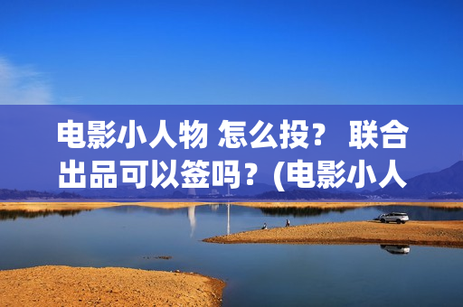 电影小人物 怎么投？ 联合出品可以签吗？(电影小人物的画)