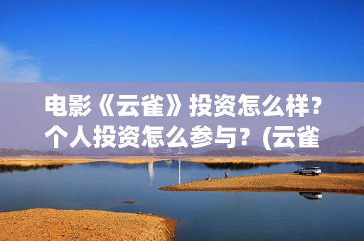 电影《云雀》投资怎么样？个人投资怎么参与？(云雀电影拍得怎么样了)