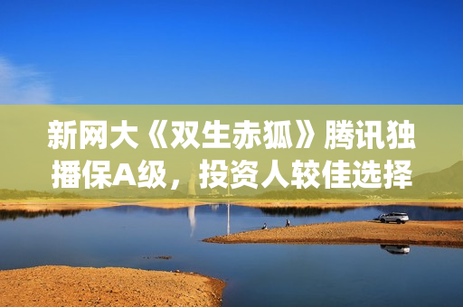 新网大《双生赤狐》腾讯独播保A级，投资人较佳选择(双生赤孤电影)
