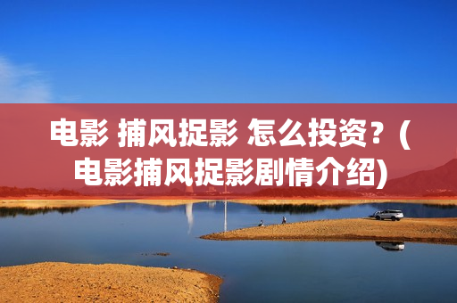 电影 捕风捉影 怎么投资？(电影捕风捉影剧情介绍)