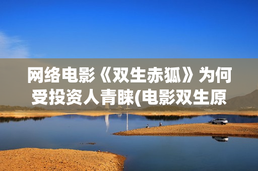 网络电影《双生赤狐》为何受投资人青睐(电影双生原著小说)