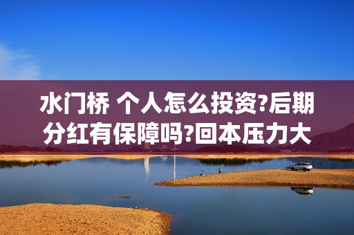 水门桥 个人怎么投资?后期分红有保障吗?回本压力大吗？(水门桥视频)