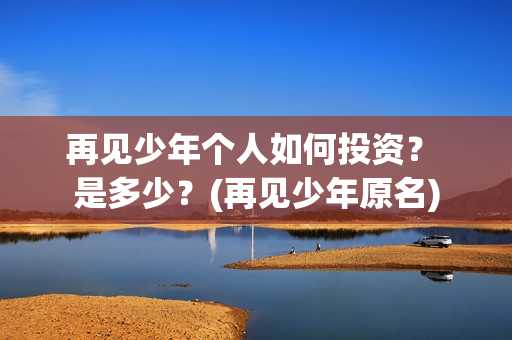 再见少年个人如何投资？ 是多少？(再见少年原名)