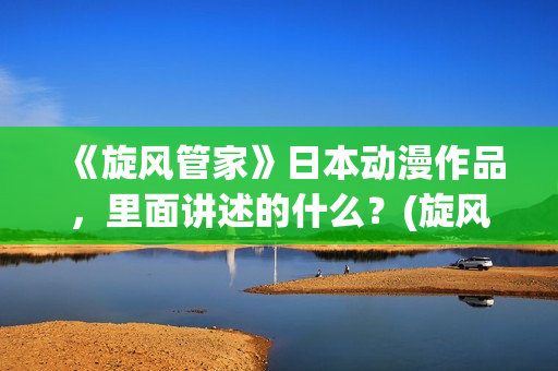 《旋风管家》日本动漫作品，里面讲述的什么？(旋风管家第一季ova)