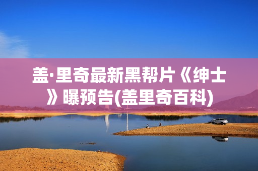 盖·里奇最新黑帮片《绅士》曝预告(盖里奇百科)