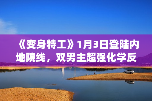 《变身特工》1月3日登陆内地院线，双男主超强化学反应(《变身特工》)