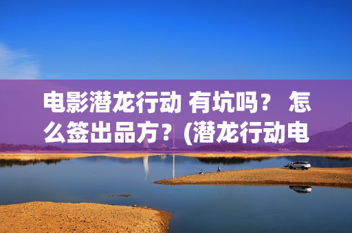 电影潜龙行动 有坑吗？ 怎么签出品方？(潜龙行动电影大结局)