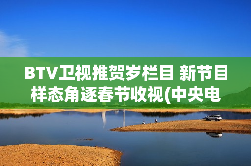 BTV卫视推贺岁栏目 新节目样态角逐春节收视(中央电视台贺岁杯)