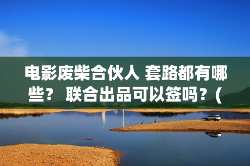 电影废柴合伙人 套路都有哪些？ 联合出品可以签吗？(废柴兄弟 百度百科)