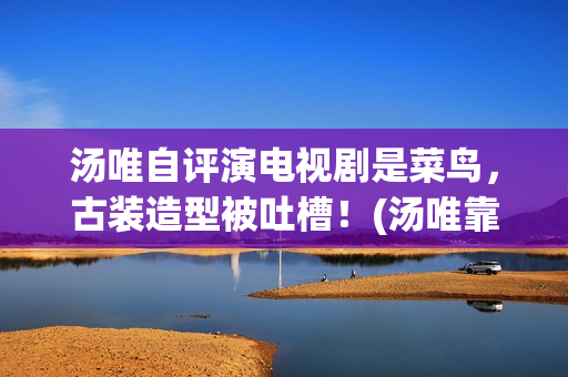 汤唯自评演电视剧是菜鸟，古装造型被吐槽！(汤唯靠哪部电视走红)