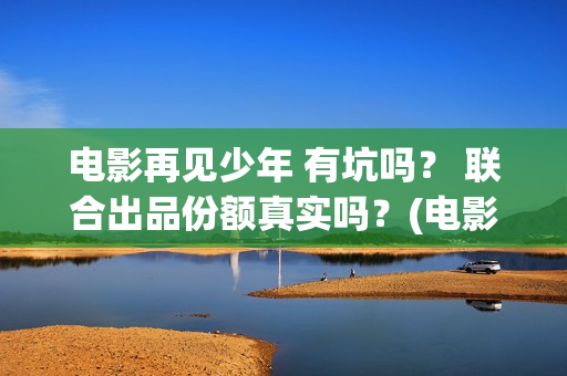 电影再见少年 有坑吗？ 联合出品份额真实吗？(电影再见少年剧情详细)