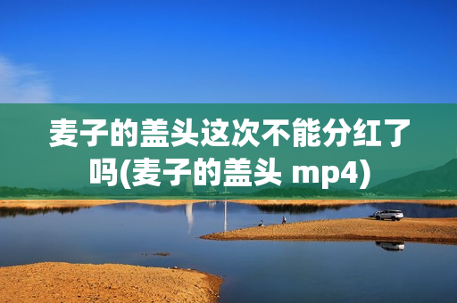 麦子的盖头这次不能分红了吗(麦子的盖头 mp4)