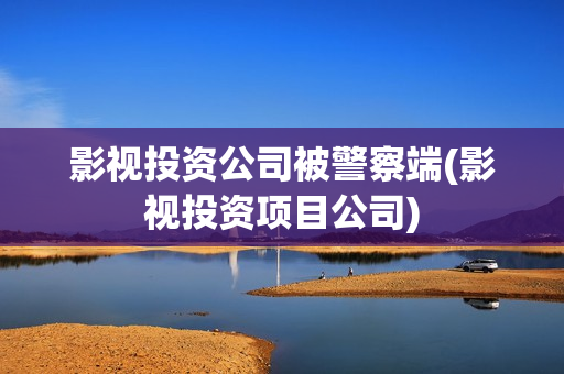 影视投资公司被警察端(影视投资项目公司)