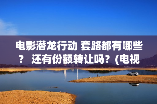 电影潜龙行动 套路都有哪些？ 还有份额转让吗？(电视剧潜龙行动高清)
