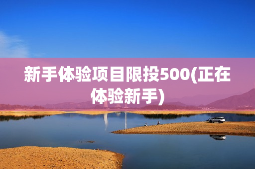 新手体验项目限投500(正在体验新手)