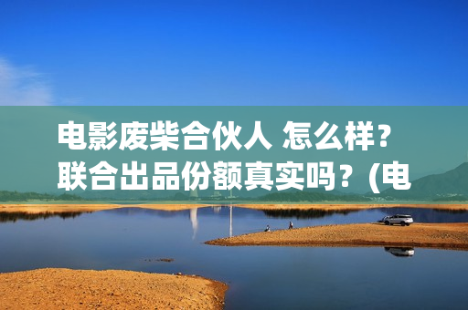 电影废柴合伙人 怎么样？ 联合出品份额真实吗？(电影废柴合伙人在线观看)