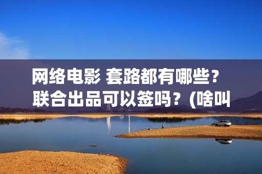 网络电影 套路都有哪些？ 联合出品可以签吗？(啥叫网络电影)