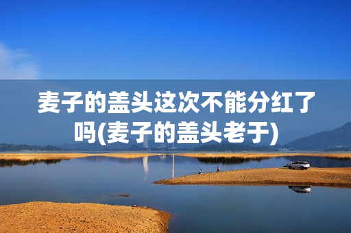 麦子的盖头这次不能分红了吗(麦子的盖头老于)