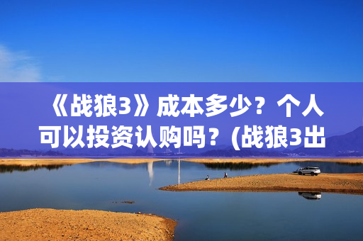 《战狼3》成本多少？个人可以投资认购吗？(战狼3出品公司)