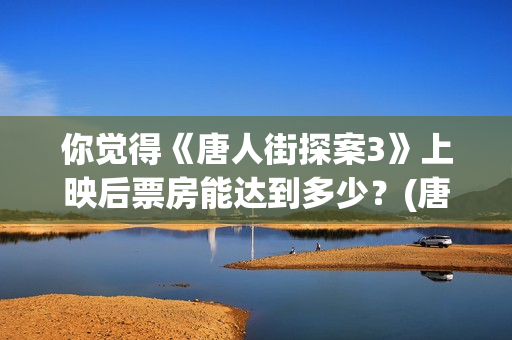 你觉得《唐人街探案3》上映后票房能达到多少？(唐人街讲的什么意思)