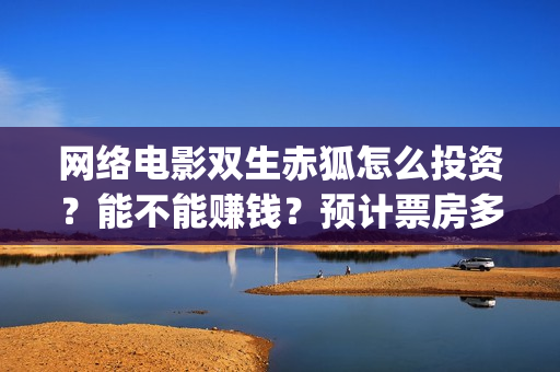 网络电影双生赤狐怎么投资？能不能赚钱？预计票房多少(双生赤狐免费观看星辰影院)