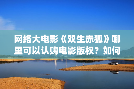 网络大电影《双生赤狐》哪里可以认购电影版权？如何投(有个电影叫什么双)