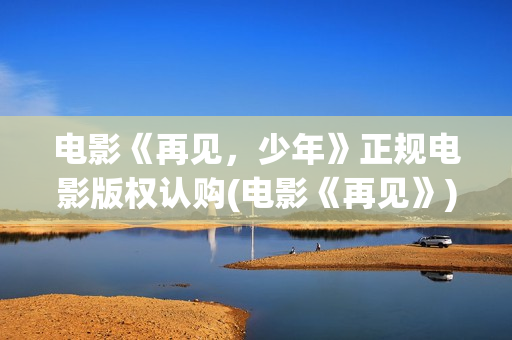 电影《再见，少年》正规电影版权认购(电影《再见》)