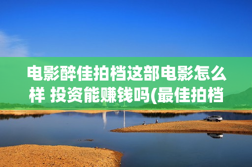 电影醉佳拍档这部电影怎么样 投资能赚钱吗(最佳拍档之醉街拍档 电影免费国语)