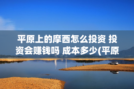 平原上的摩西怎么投资 投资会赚钱吗 成本多少(平原上的摩西有几个故事)