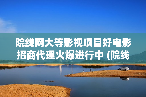 院线网大等影视项目好电影招商代理火爆进行中 (院线 网大)