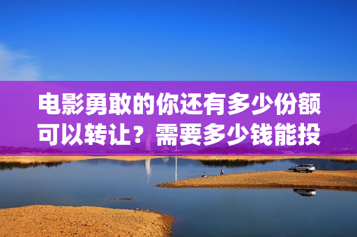 电影勇敢的你还有多少份额可以转让？需要多少钱能投资？(电影 勇敢的你)